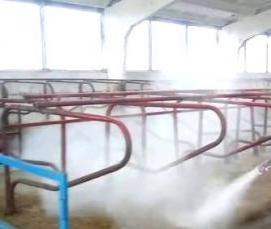 Дезинфекция животноводческих помещений - вариант 4