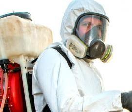 Дезинсекция грызунов - тип 4