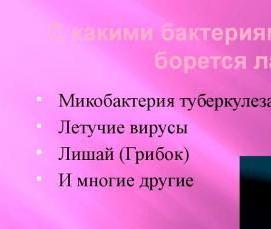 Дезинсекция и дератизация в лпу - тип 4