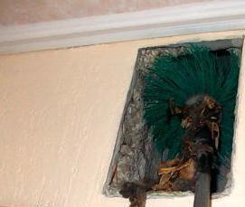 Дезинсекция и дератизация в многоквартирных домах - тип 2