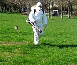 Дезинсекция и дезакаризация - тип 4