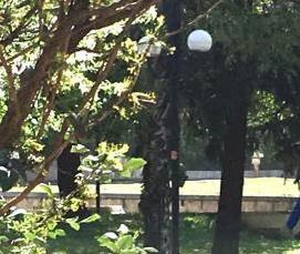 Дезинсекция и дезакаризация - тип 3