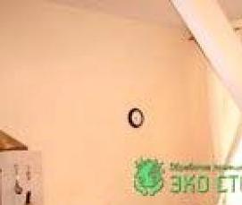 Дезинсекция комнаты - тип 1