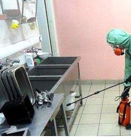 Дезинсекция на предприятиях питания - модель 4