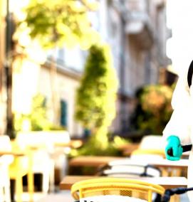 Дезинсекция на предприятиях питания - модель 2