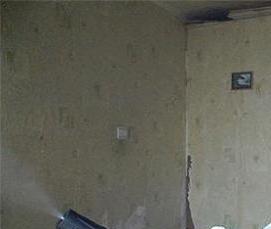 Дезинсекция от клопов холодным туманом - тип 3