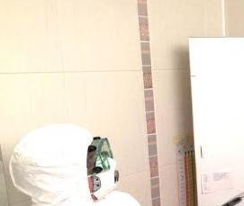 Дезинсекция от клопов холодным туманом - тип 2