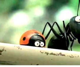 Дезинсекция от муравьев в квартире - модель 2