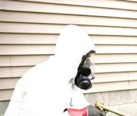 Дезинсекция пищевых предприятий - тип 3