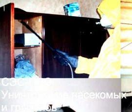 Дезинсекция подвалов - тип 4