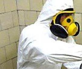 Дезинсекция подвалов - тип 2