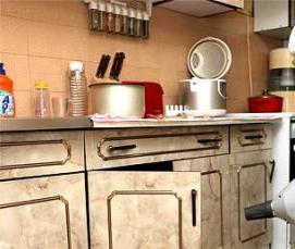 Дезинсекция против клопов - модель 4