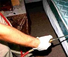 Дезинсекция против клопов - модель 3