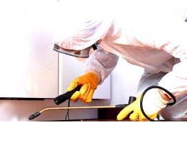 Дезинсекция жилых домов - модель 3