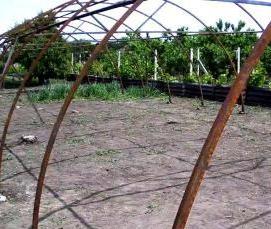 Длинная теплица - вариант 1