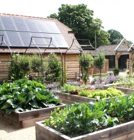 Дмитровские теплицы - модель 1