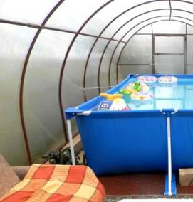 Дмитровские теплицы - модель 2