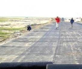 Дорожная геосетка СД - тип 3