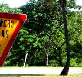 Дорожный знак дорога для автомобилей - тип 3