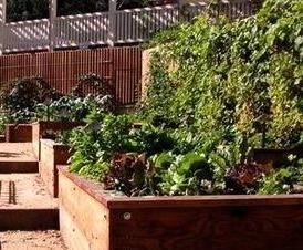 Доска грядочная - вариант 2