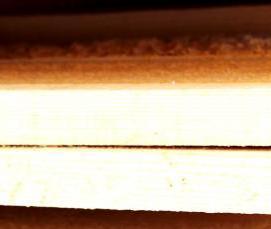 Доска обрезная 20х200х6000 мм - тип 2