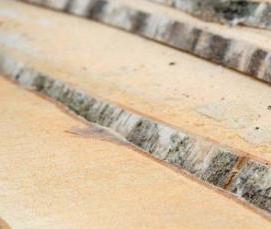 Доска обрезная клен - тип 2