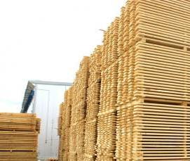 Доска сосна сухая обрезная - вариант 4