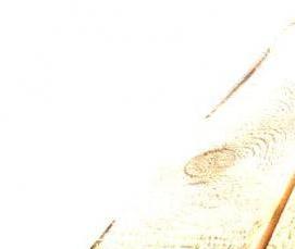 Доска сухая 25х150 мм - модель 4