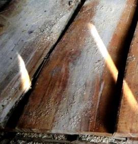 Доска сухая Осина - тип 1