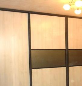 Дверь купе вертикальная - тип 4