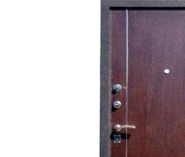 Дверь металлическая входная черная - тип 1