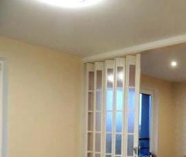 Двери купе для зонирования комнаты - модель 1