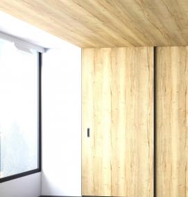 Двери купе шпон - вариант 1