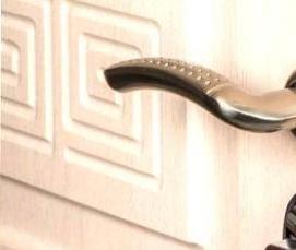 Двери металлические входные порошковые - модель 2