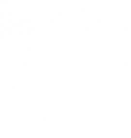 Двери межкомнатные одностворчатые - модель 3