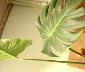 Двп одностороннее - модель 3