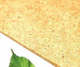 Двп тсн - модель 3