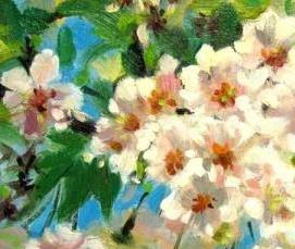 Двп Вишня - модель 3