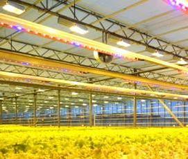 эффективные теплицы - модель 4