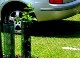 эко газонная решетка для парковки - модель 4