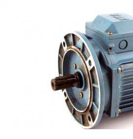 электродвигатель - вариант 4