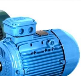 электродвигатель взрывозащищенный 30 квт - модель 1