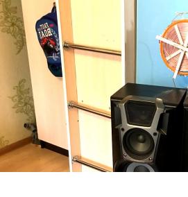 электростатический громкоговоритель - модель 3