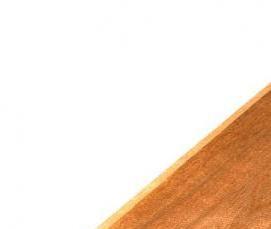 Евровагонка Экстра - вариант 4