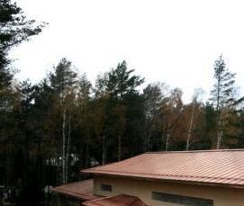 фальцевая кровля из меди - тип 2