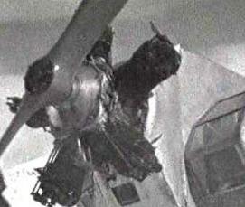 фанера 2 м - тип 3