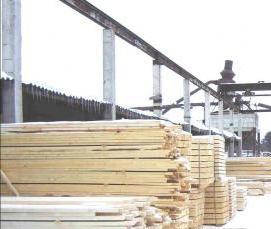 фанера березовая 1525 на 1525 мм 4/4 сорт - тип 2