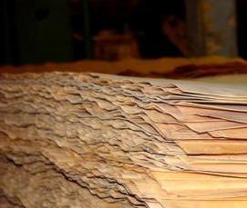 фанера березовая авиационная - вариант 1