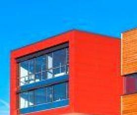 фанера из тропического дерева бдо - тип 2