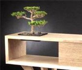 фанера влагостойкая мебельная - вариант 1